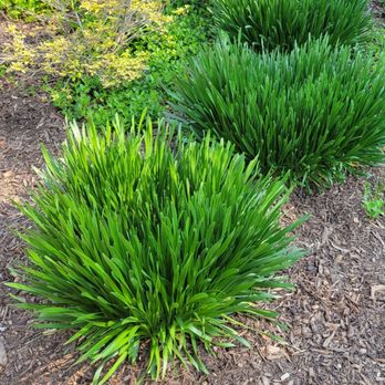 The Mulch Center - Mulch spread in garden - Landscaping Near Me - Deerfield, Illinois