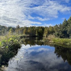 South Lake Howard Nature  Park