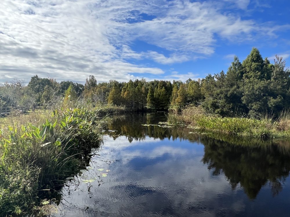 South Lake Howard Nature  Park Image