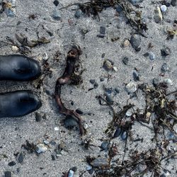 Ocean Point Walk - | #intenselypassionatephotography