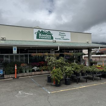 Koolau Farmers - Home & Garden Near Me - Kaneohe, Hawaii Koolau Farmers - Home & Garden Near Me - Kaneohe, Hawaii