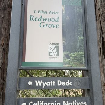 T Elliot Weier Redwood Grove - Hiking Near Me T Elliot Weier Redwood Grove - Hiking Near Me