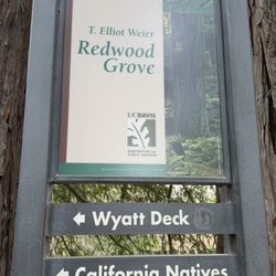 T Elliot Weier Redwood Grove