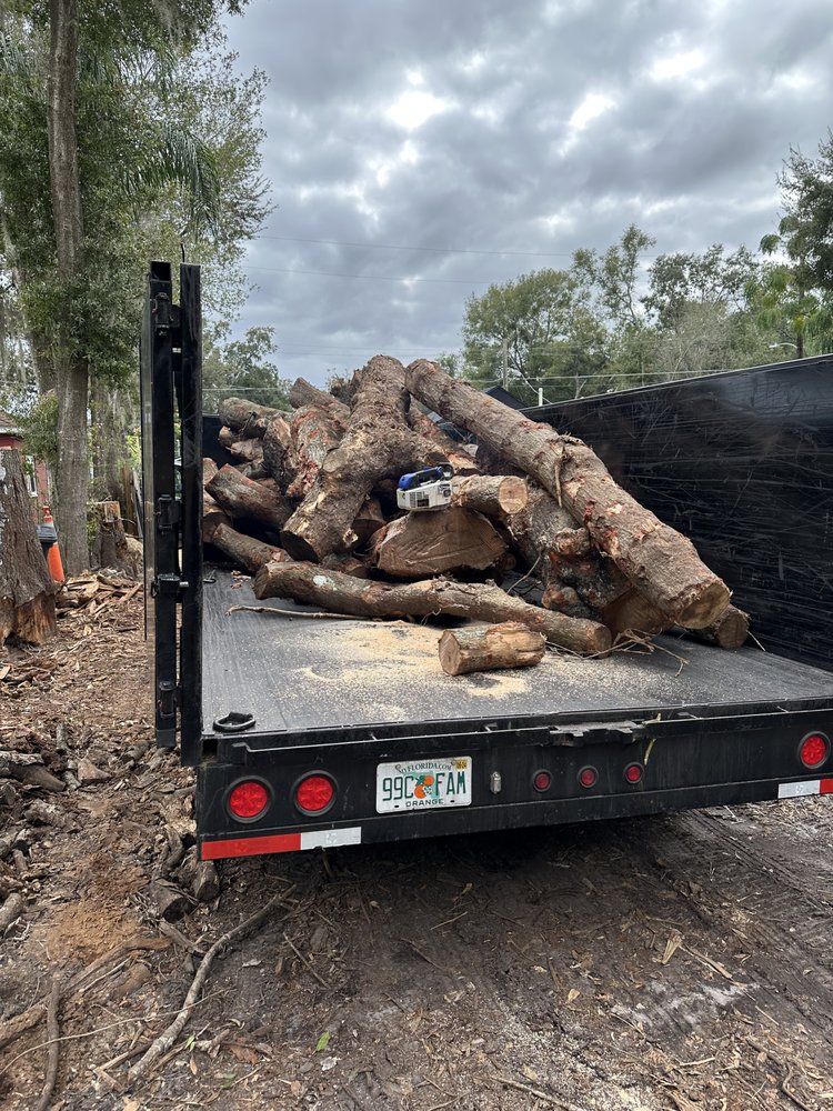 Jungle Tree and Debris - tree service in Orlando, FL