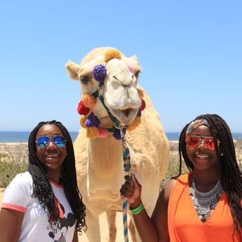 Cabo Adventures - Boat Tours Near Me - Cabo San Lucas, BCS