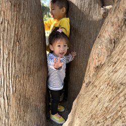 McKinley Park - The trees around the park are amazing! It's a great place to ground yourself.