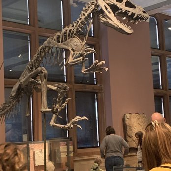 Kelvingrove Art Gallery & Museum - Museums Near Me - Glasgow, GLG