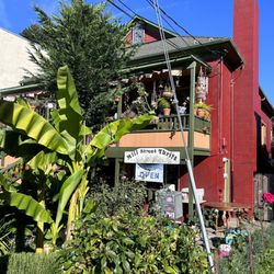 Mill Street Thrift - Quaint building with lovely landscaping at Mill Street Thrift, steps away from Main Street in Guerneville.