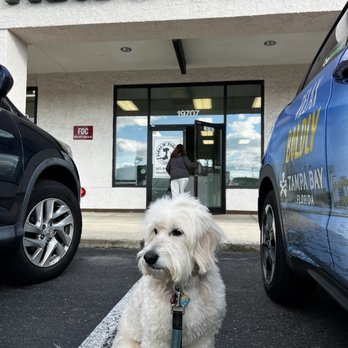 Fidoz N Felinez - New hairdo! - Pet Groomers Near Me - Germantown, Maryland Fidoz N Felinez - New hairdo! - Pet Groomers Near Me - Germantown, Maryland