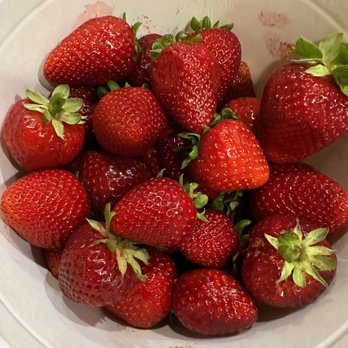 Kenny's Strawberry Farm - Yummy strawberries! This is the big bucket for $20. - Fruits & Veggies Near Me - Fallbrook, California