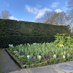 Holland Park