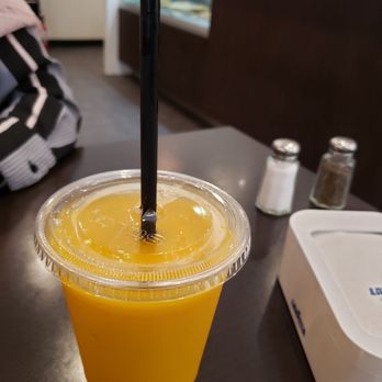 Fellini Caffè - Italian Near Me - Houston, Texas