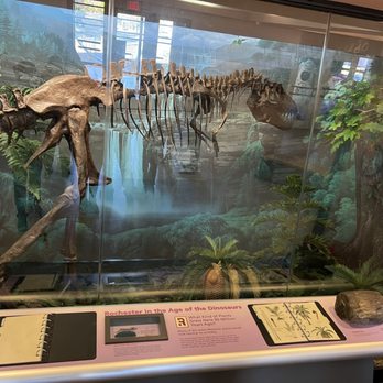 RMSC Museum & Science Center - Museums Near Me - Rochester, New York RMSC Museum & Science Center - Museums Near Me - Rochester, New York