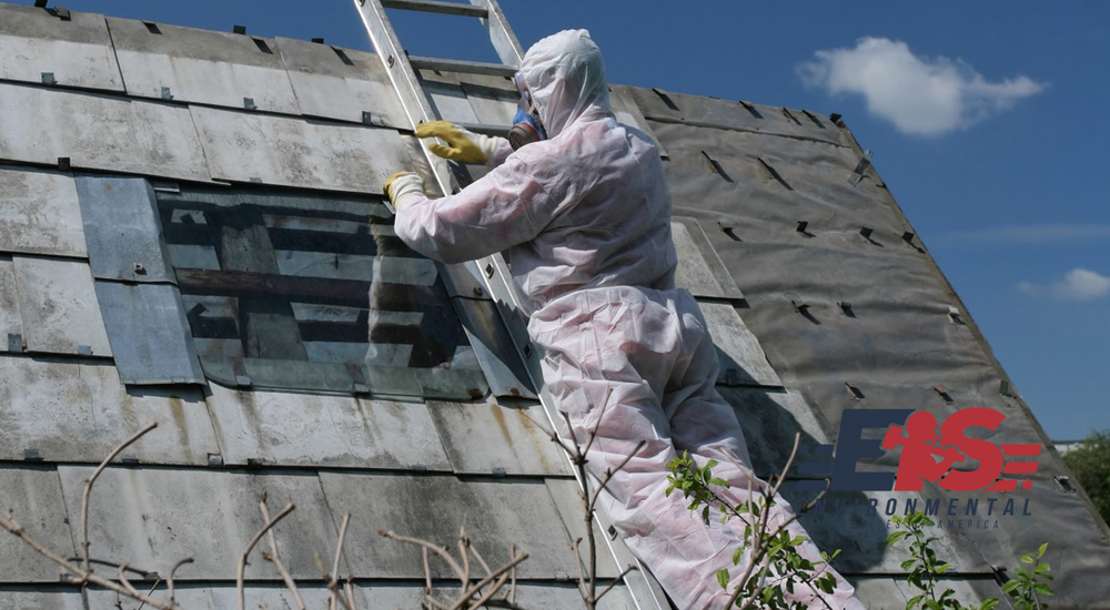 Environmental Services Of America - mold inspector in Bogart, GA