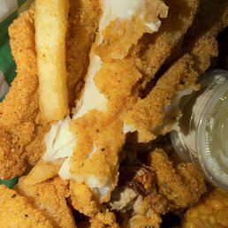 Catfish