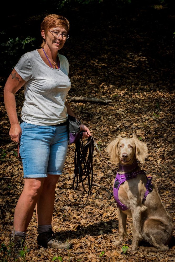 K9 SCENT & SEARCH UK 1a Tavistock House, Canvey Island, Essex, United