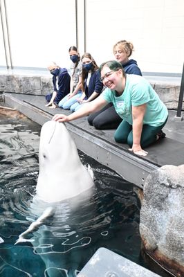 Georgia Aquarium by null