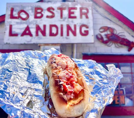 Lobster Landing by null