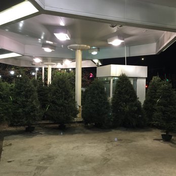 Boy Scouts Christmas Tree Lot - Trees - Christmas Trees Near Me - San Mateo, California Boy Scouts Christmas Tree Lot - Trees - Christmas Trees Near Me - San Mateo, California