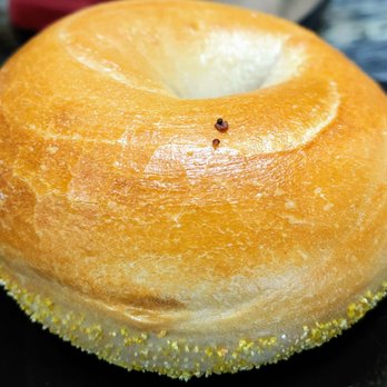 Big Apple Bagels - Sourdough bagel - Bagels Near Me - Cincinnati, Ohio