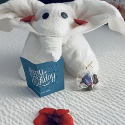 My birthday surprise! My birthday surprise!
