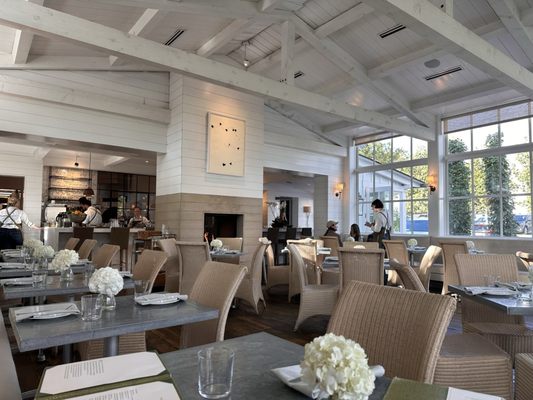 Tiny Boxwoods Austin by null