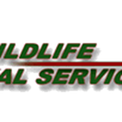 All Wildlife Removal Services