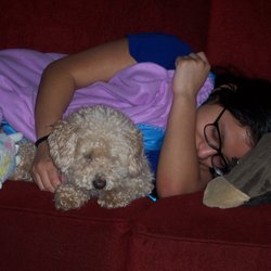 Dog Boarding In Our HOME - Getting some snuggles from Rosie.