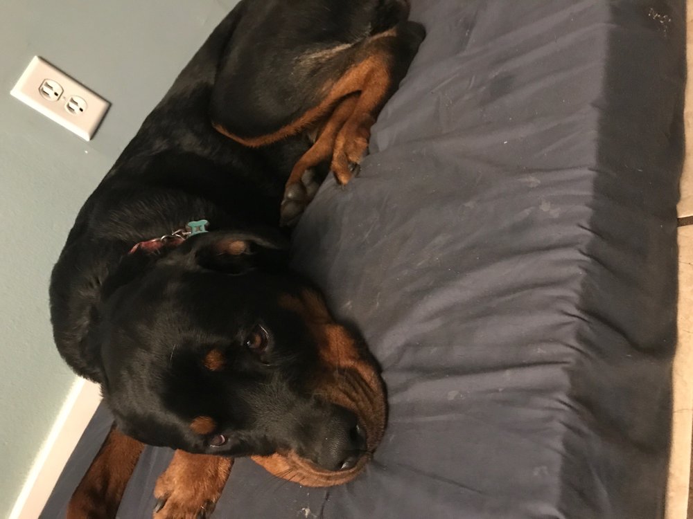 MERCY’S PLAY+STAY Updated May 2024 109 Hughes St, Fort Walton Beach