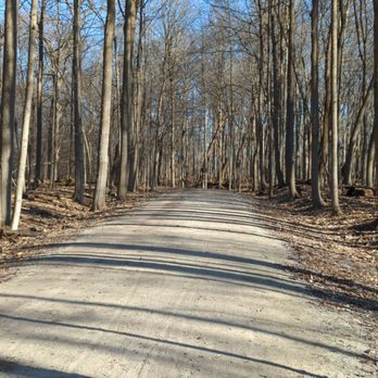 McDowell Grove Forest Preserve - Enjoying the sun - Hiking Near Me