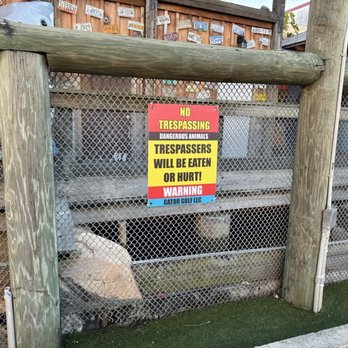 Gator Golf - Outside - Mini Golf Near Me - Orlando, Florida