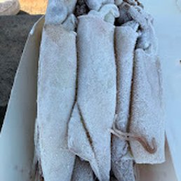 Frozen bait but they had water spigots on the pier that we used to defrost and cut them. Frozen bait but they had water spigots on the pier that we used to defrost and cut them.