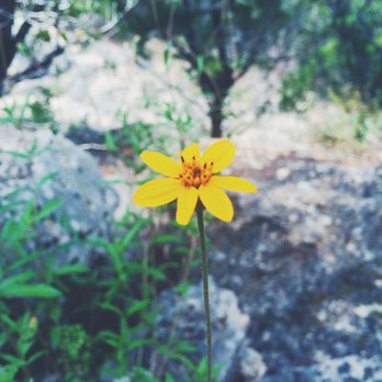 River Place Nature Trail - Hiking Near Me - Austin, Texas River Place Nature Trail - Hiking Near Me - Austin, Texas