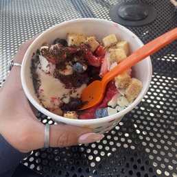Chocolate Frozen Yogurt