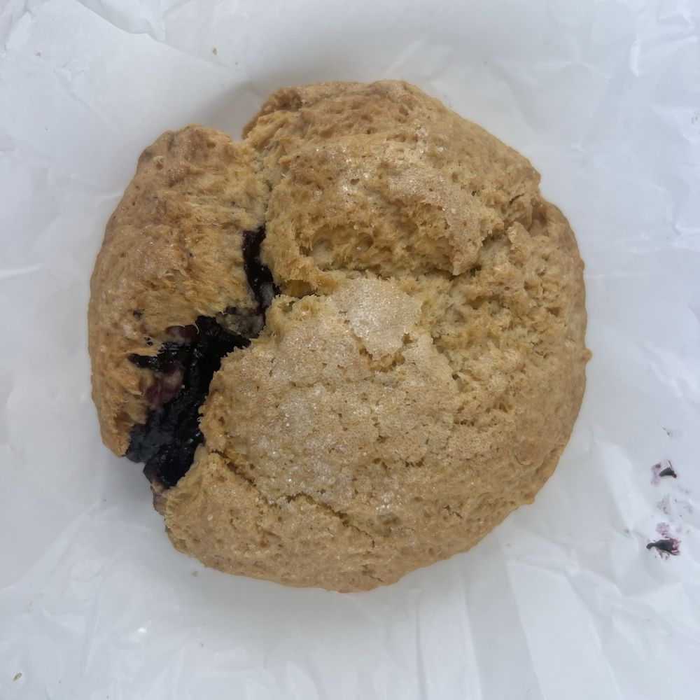 Upper Crust Cafe & Bakery - Blueberry  Scone - American Near Me - Venice, Florida