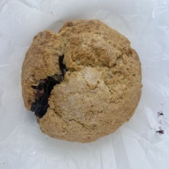 Upper Crust Cafe & Bakery - Blueberry  Scone - American Near Me - Venice, Florida