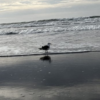 Ocean Beach - Parks Near Me - San Francisco, California Ocean Beach - Parks Near Me - San Francisco, California