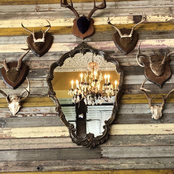 Phoenix Saloon - Mounts on the wall of the Phoenix Saloon - Bars Near Me - New Braunfels, Texas Phoenix Saloon - Mounts on the wall of the Phoenix Saloon - Bars Near Me - New Braunfels, Texas