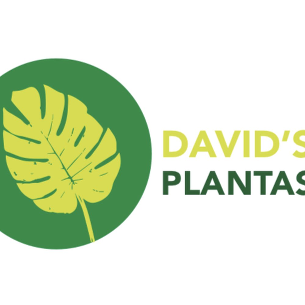 David's Plantas - Nurseries & Gardening Near Me