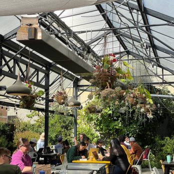 Cafenated Coffee Company - Outside garden  I love it - Coffee & Tea Near Me - Berkeley, California