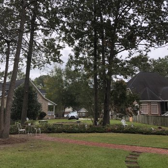 Carolina Wrenn - After - Tree Services Near Me