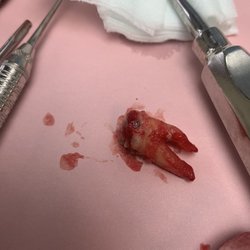 Omni Dental Group - My tooth