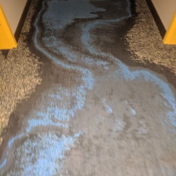 GLō Best Western Lexington - Hallway carpet - Hotels Near Me - Lexington, Kentucky GLō Best Western Lexington - Hallway carpet - Hotels Near Me - Lexington, Kentucky