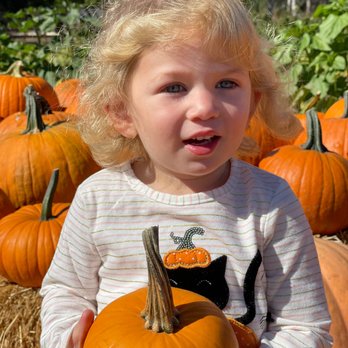 Solvang Farmer Pumpkin Patch - Pumpkin Patches Near Me - Solvang, California Solvang Farmer Pumpkin Patch - Pumpkin Patches Near Me - Solvang, California