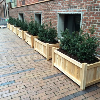 Anthony Gallo Nursery - Nurseries & Gardening Near Me - Brooklyn, New York