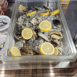 Mark's Mart - For real! Live oysters!