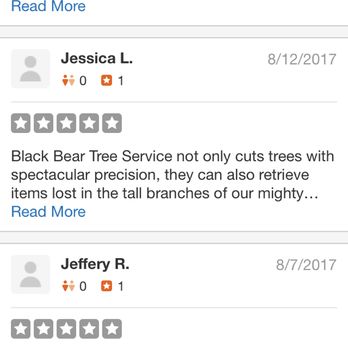 Black Bear Tree Service - This site decides which reviews to show - Tree Services Near Me Black Bear Tree Service - This site decides which reviews to show - Tree Services Near Me