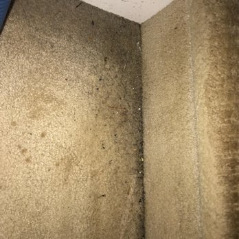 ProGreen Carpet - Before - Carpet Cleaning Near Me - Durham, North Carolina