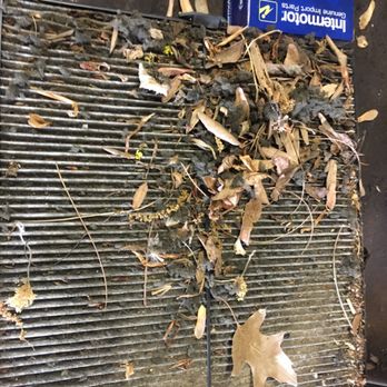 Distad's Tire & Auto - Is your cabin air filter dirty - Tires Near Me - Washington, DC, District of Columbia Distad's Tire & Auto - Is your cabin air filter dirty - Tires Near Me - Washington, DC, District of Columbia