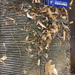 Distad's Tire & Auto - Is your cabin air filter dirty